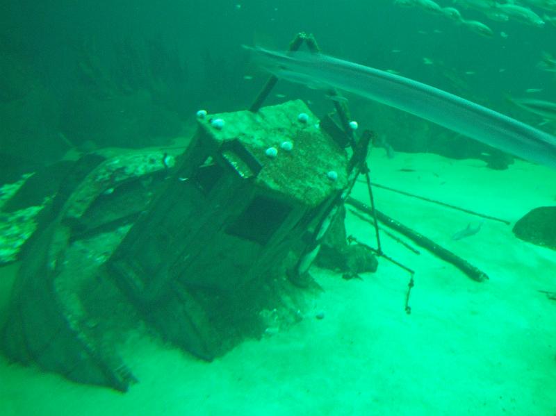 Sofia i  Oceaniariet 029.jpg